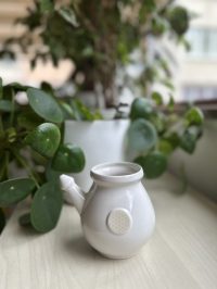 neti lota